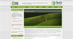 Desktop Screenshot of calorverdebiomasa.com